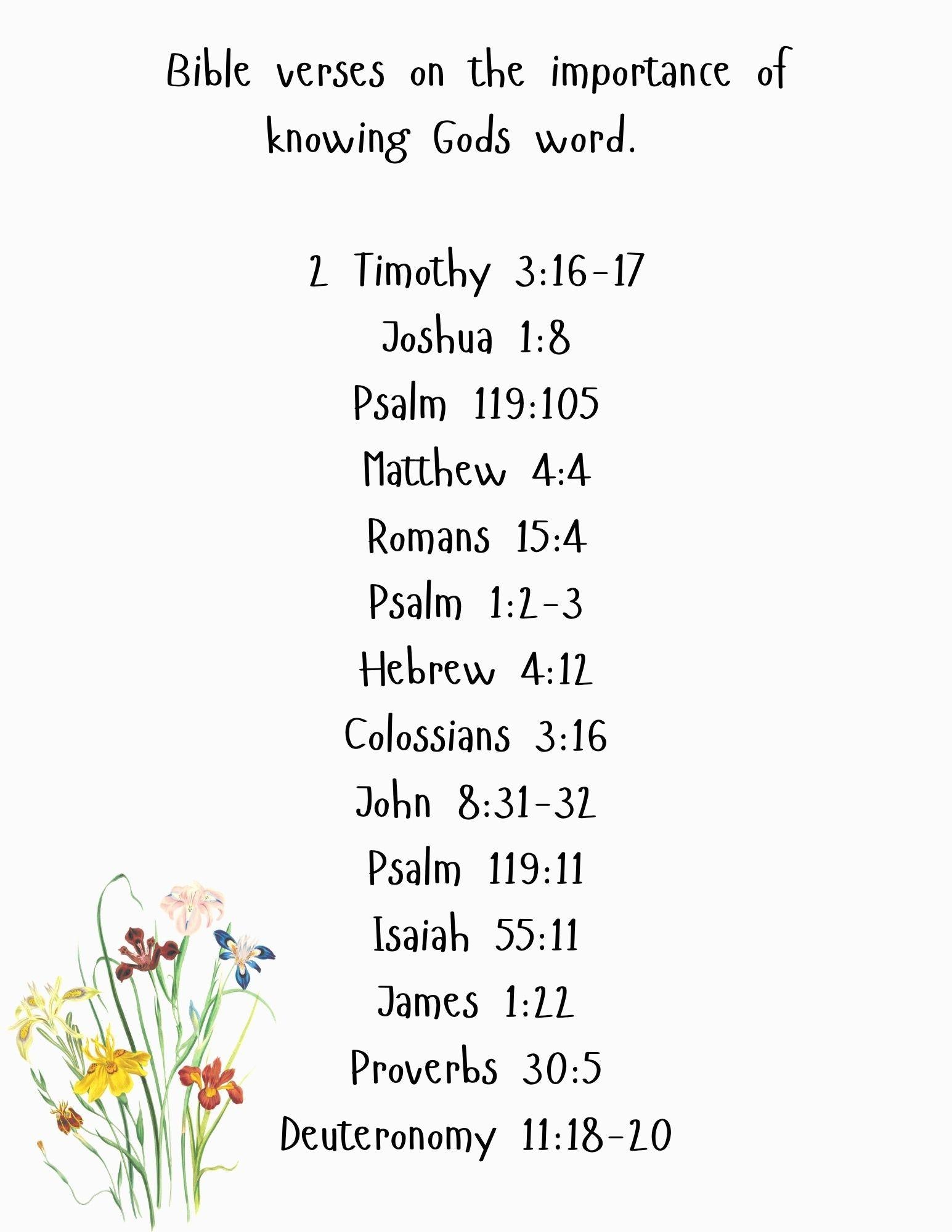 Bible Study Journal
